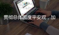 贯彻总体国度平安观，加快构建新发展格局
